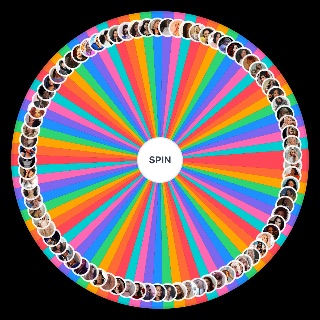 Spin the Wheel: Women in Music
