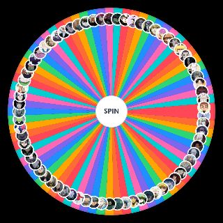Spin the Wheel: HUNTER×HUNTER NEN×IMPACT