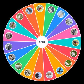 Birds Random Picker