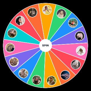 Spin the Wheel: Ugliest Animals