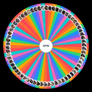 Rp Drayon Paradise Random Generator