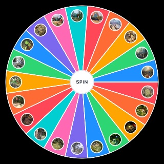 Choose a Random All Pikmin Areas (Up to Pikmin 4)