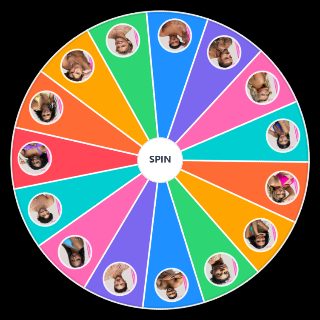 Random Love Island USA S8 Pyramid Picker