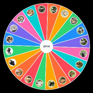 Spin the Wheel: Dogs
