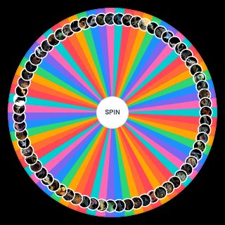Spin the Wheel: How to Train Your Dragon