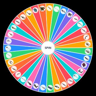 All warframe incarnon weapons Wheel