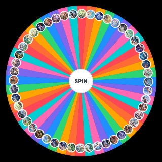Genshin Impact Flagship Event(Luna VI) Random Generator