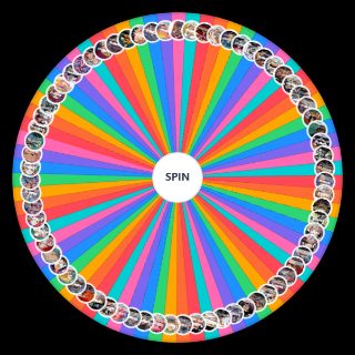 Spin the Wheel: One Piece TCG Leaders
