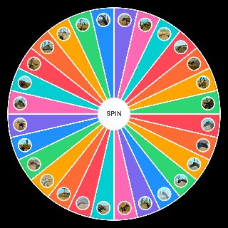 DW Dinosaur Wheel