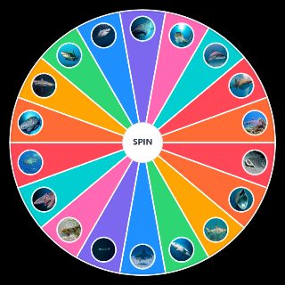Choose a Random best shark types