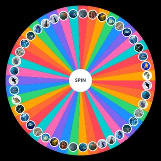 Spin the Wheel: sea life meta