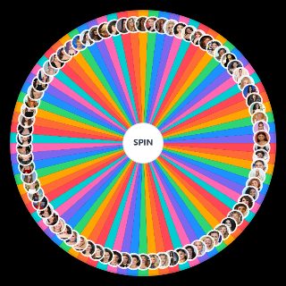 actress Wheel