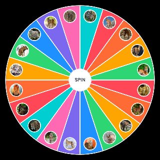 Random Felines / Felinos Picker