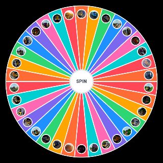 Pick a Random SCR Trains