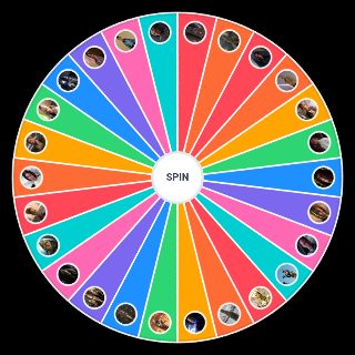 Star Wars Characters Prequel + Original Trilogy Wheel