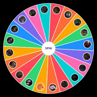 Spin the Wheel: elden ring FEET