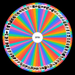 Spin the Wheel: Roblox Arsenal Guns