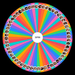 Choose a Random WWE Roster 2026 NXT
