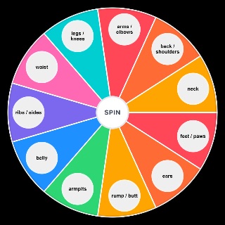 Random Tickle spots ! Wheel
