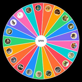 Pick a Random Animals I do not want to fight