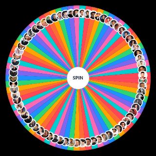 Spin the Wheel: : male celebrities