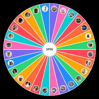 Random goofy ahh cats Wheel
