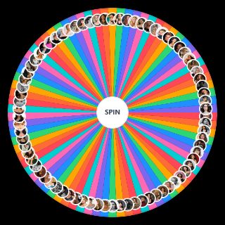 Classement des plus belles actrices Wheel