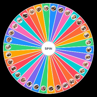 Random Love Island USA Season 8 ALL Islanders (Complete Cast) Picker