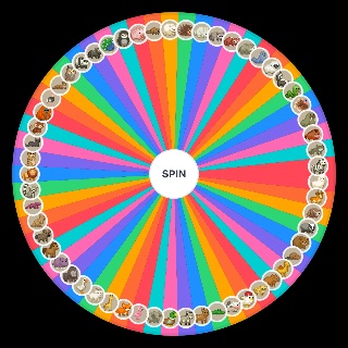 Spin the Wheel: Lets build a zoo animals