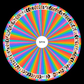 Spin the Wheel: 'Date Everything' Character
