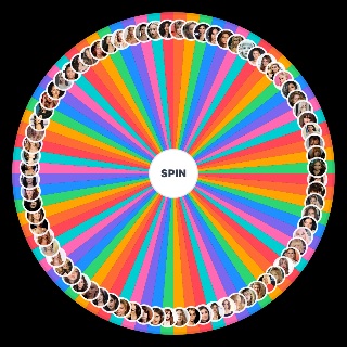Random Villain's Females Wheel