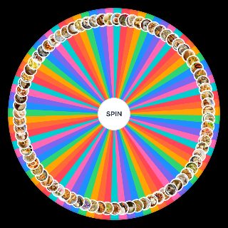 Random best dumplings Wheel