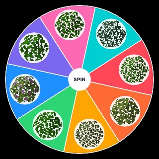 Minecraft Leaf Blocks Wheel