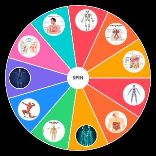Organ Systems Random Generator
