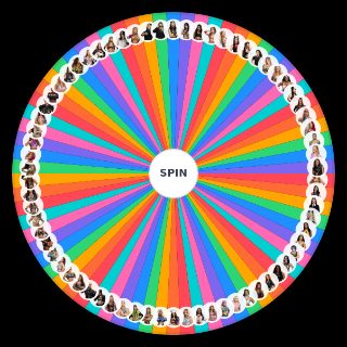 Random Current WWE Women's Wrestlers Roster Wheel