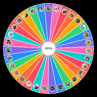 Random cute baby animals Wheel
