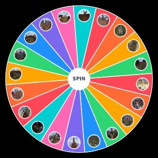 Spin the Wheel: tnt tag maps