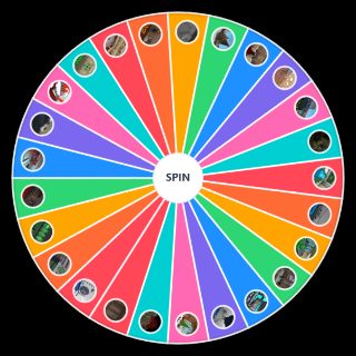 Murder Mystery 2 Maps Wheel