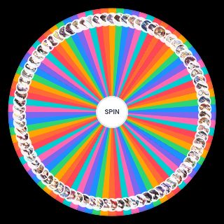 Epic 7 Waifus Wheel