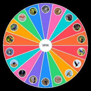 Bird game 3 (birds ) Random Picker