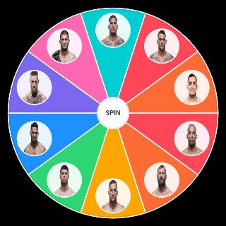 Random UFC Lightweight Division Wheel