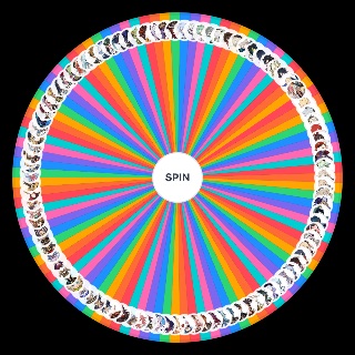 Genshin Impact Characters' Pronouns Wheel