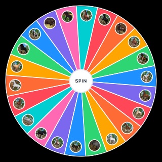 All Star Stable Horse Breeds gen3 Random Picker