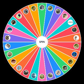 Random Animales vs humano regular Wheel