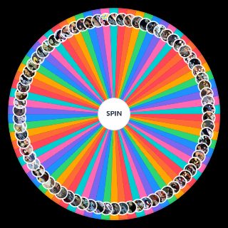 Random RWBY SHip Wheel