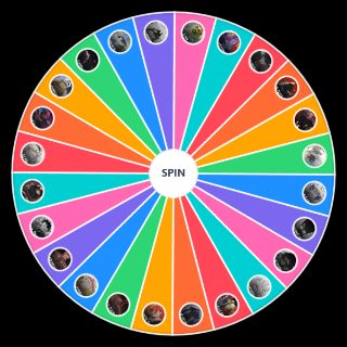 One piece Wis editors Wheel