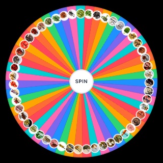 Pizza Toppings Random Generator