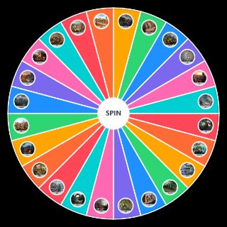 R6 Maps (January 2024) Random Picker