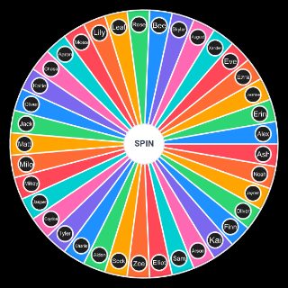 Spin the Wheel: Common trans names 🤭