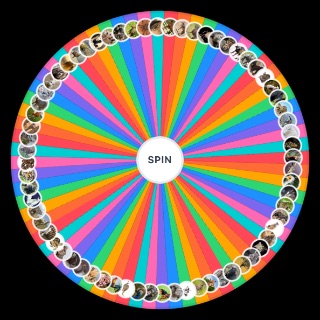 Spin the Wheel: Land animal